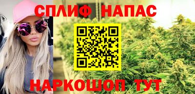 СК Дубна