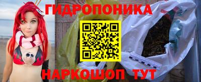 СК Дубна