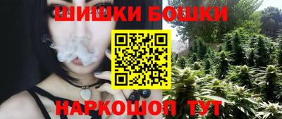СК Дубна