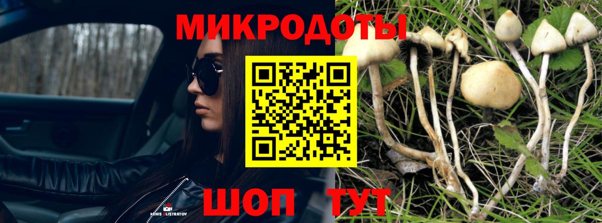 Псилоцибиновые грибы Psilocybine cubensis  Вход с VPN  где продают наркотики  Галлюциногенные грибы Psilocybine cubensis  Можайск 